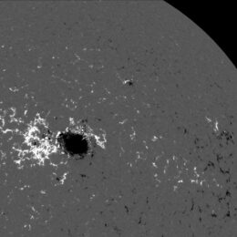 magnetic fields of a large sunspot