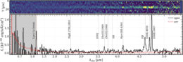 spectrum of the red point source investigated in this work
