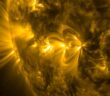 extreme-ultraviolet image of solar coronal loops