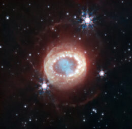 JWST image of SN 1987A