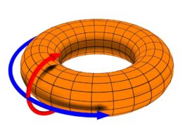 illustration of poloidal and toroidal directions