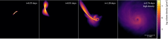 time evolution of stellar material tidally disrupted by a black hole