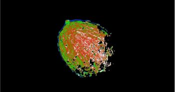 A photograph of an asteroid on a black background. Superimposed on the asteroid's surface is a colormap that ranges from red to green, denoting the reflectance.
