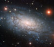 photograph of NGC 3621, the host galaxy of SN 2024ggi