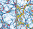 two images showing the results of cosmic web finding algorithms