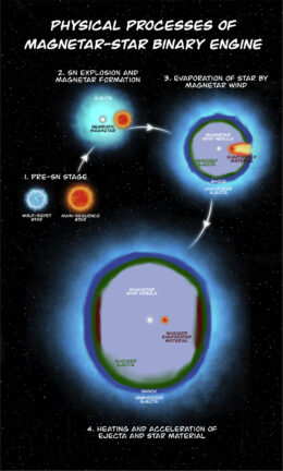 diagram illustrating the stages of the magnetar–star binary engine model