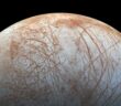 image of Europa