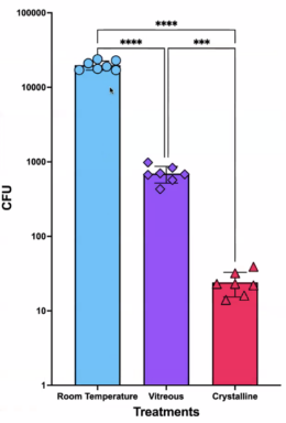 plot of surviving colony forming units under different experimental conditions