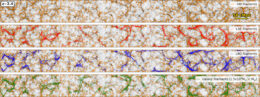 comparison of filaments traced by dark matter, Lyman-alpha emitters, Lyman-break galaxies, and massive galaxies