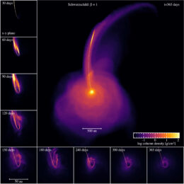 plots showing the evolution of the gas column density during a tidal disruption event