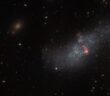 dwarf galaxy UGCA 307