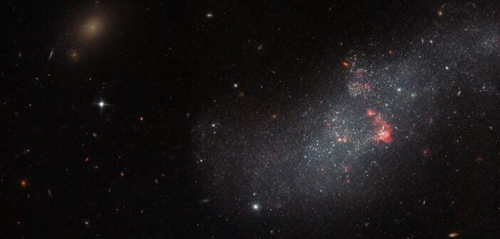 dwarf galaxy UGCA 307