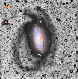 Messier 63 with a stellar stream