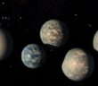 Illustration of the seven known planets in the TRAPPIST-1 system