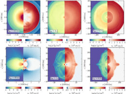 simulation results for a white dwarf undergoing accretion-induced collapse