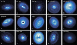 exoALMA disks