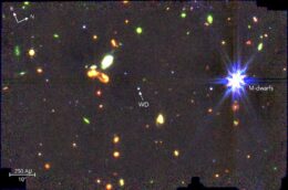 white dwarf WD 1856+534