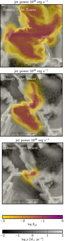propagation of jets into the interstellar medium