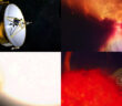 collage of multiple illustrations and images