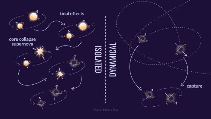 infographic showing formation channels for black hole binaries