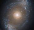 NGC 4151