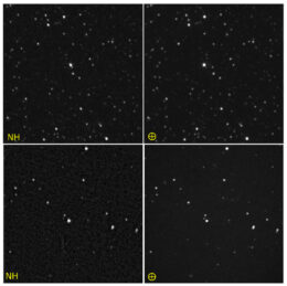 images of Proxima Centauri and Wolf 359 from New Horizons and from Earth