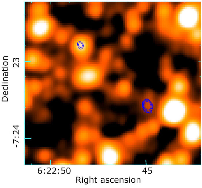 infrared image of Narcissus