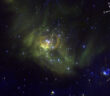 IC 348