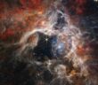Tarantula Nebula