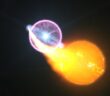 nova