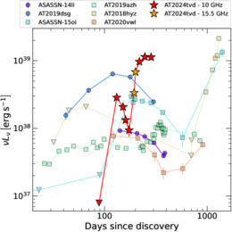 Radio emission from AT 2024tvd compared to other radio-bright tidal disruption events
