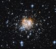 A photograph of a dense knot of stars against a collection of more spread-out stars.