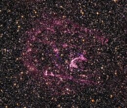Supernova remnant N132D