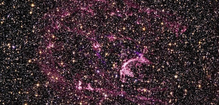 Supernova remnant N132D