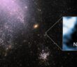 JWST image of the galaxy NGC 4141