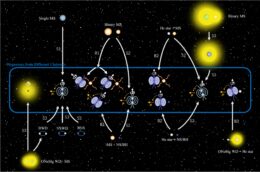 illustration of magnetar origins
