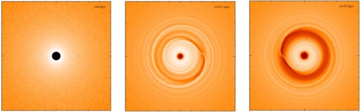Simulated gas disk around an SMBH with an implanted IMBH