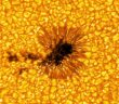 sunspot