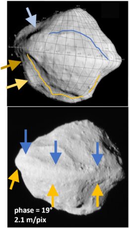 Sumak Fossa and Fab Dorsum on Dinkinesh