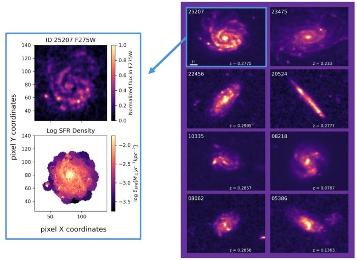 galaxy sample from Olsen et al.