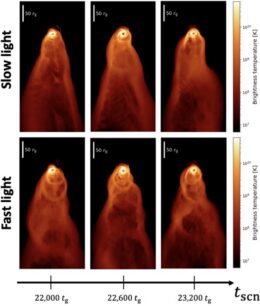 comparison of slow light and fast light results for M87's jet