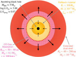 schematic of the gas surrounding a newborn black hole