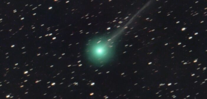 comet C/2023 P1