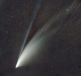 C/2020 F3 (NEOWISE)