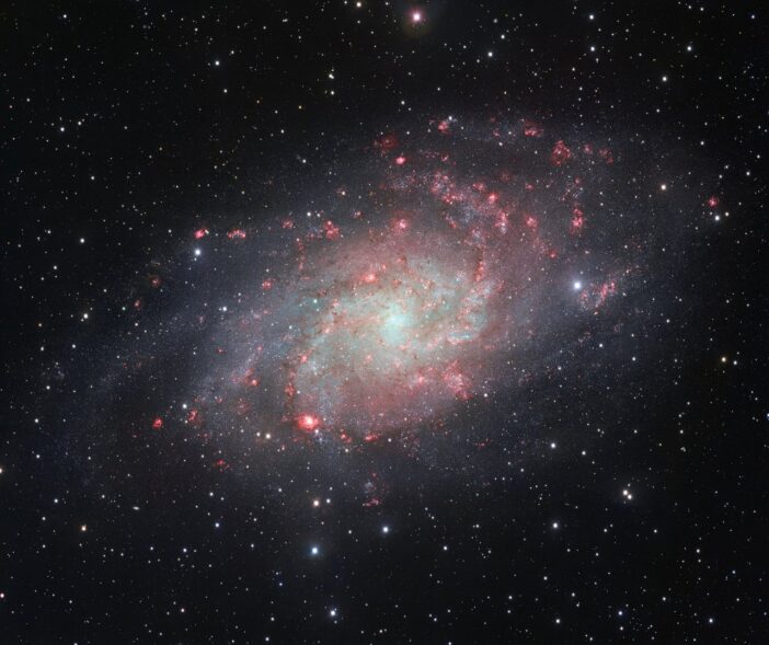 M33