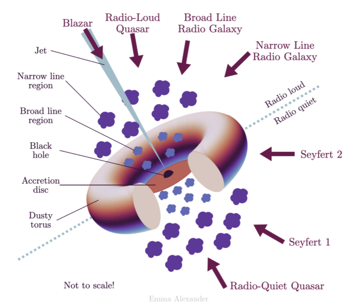 schematic of the unified model of active galactic nuclei