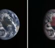 Earth in visible and near-infrared light
