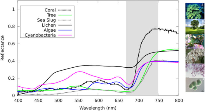 Spectra of different sources of the vegetation red edge