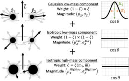black hole populations used in modeling the observed spin–orbit tilt distribution