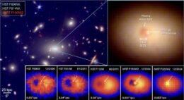 JWST and Hubble observations of A402-BCG